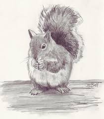 Maybe you would like to learn more about one of these? Drawing Animals With Fur Art Starts