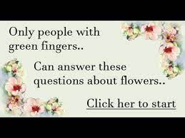 Test what you know about blooms and blossoms now! Quiz About Flowers Youtube