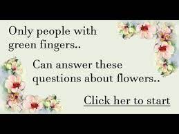 The more questions you get correct here, the more random knowledge you have is your brain big enough to g. Quiz About Flowers Youtube