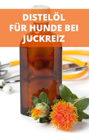 Distelol Fur Hunde Dosierung Bei Juckreiz Wirkung Auf Fell Haut Haare Hunde Ernahrung Vitamine Fur Hunde Hund Juckreiz