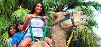 If i am in the zoo, it is like saying contained within the space so it shows that they are not just stating location, it changes the meaning. Zoo Miami Miami Zoo Miami Metro Zoo Miami Dade Zoological Park And Gardens