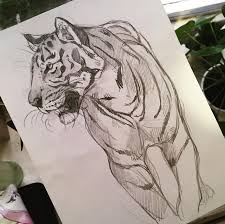 Kalamboart Tiger Drawn For Global Tiger Day Last Month Tiger Drawing Animal Drawings Big Cats Drawing