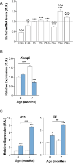 We're a team of content creators using digital avatars providing. Mutations In L Type Amino Acid Transporter 2 Support Slc7a8 As A Novel Gene Involved In Age Related Hearing Loss Abstract Europe Pmc