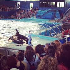 Mandi Castro (aquajawa)