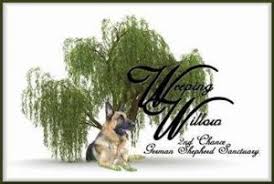 I have a 3 month old gsd. Best German Shepherd Rescues In Ohio 2021 We Love Doodles