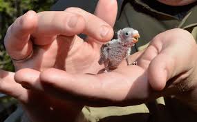 images?q=tbn:ANd9GcQYE8iDbIpfZdGD_hmykV4H6aJWRKCtnMZm-PexLoEotokoff9s