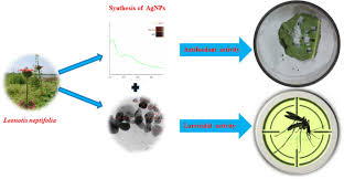 Image result for Vernonia nepetifolia