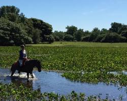 Imagem de Horseback riding in the Pantanal
