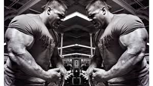 1440x2960 qhd 1440x2560 qhd 1080x1920 full hd 720x1280 hd. Hd Wallpapers Bodybuilders Wallpaper Cave