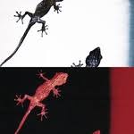 楽天市場 3サイズセット ヤモリ カッティング デカール ステッカー アウトドア 防水 耐水 車 バイク 爬虫類 ヘルメット 傷隠し おしゃれ かっこいい シール 3000円以上の購入でゆうパケット又は定型外郵便に限り送料無料です 楽天 通販 ステッカーシール専門店