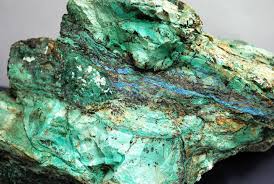 Image result for Chrysochloa