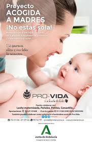 Doce medallas para el equipo de Mairena en el Circuito Provincial de  Invierno de natación