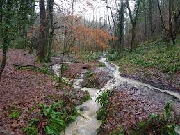 Professional boxer from the land of robinhood british champion former commonwealth & wbo european champ margatsni.co.uk. Five Abbots Half Friday Route Recommendation