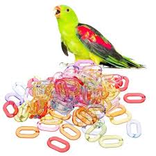 Elle a besoin d'une alimentation variée pour la beauté de son plumage et une. Sea320 100 Pcs Bird Jouet Diy Accessoires Plastique Crochets Chaine Pour Perroquet Perruche Perruche Amazones Calopsittes Achat Vente Jouet Sea320 100 Pcs Bird Jouet Cdiscount