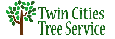 Headquartered in little canada, we serve the entire twin cities metro area. Tree Service Placer County Ca 916 817 2620