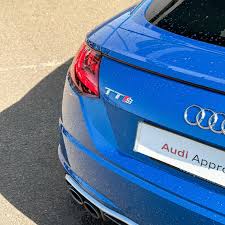 Image result for Ara Blue 2017 TT