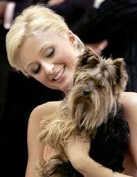 Paris Hilton & her yorkie...