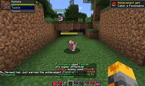 How to install pixelmon mod? Minecraft Pokemon Mods Our List Of The Best Ones To Download Fandomspot
