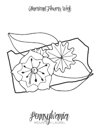 At maturity, the flowering dogwood reaches heights between interestingly, this flower most associated with the north carolina state flower is not a flower at all! 50 State Flowers Free Coloring Pages American Flowers Week