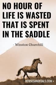 We did not find results for: 17 Inspirational Horse Quotes That You Will Love With Images