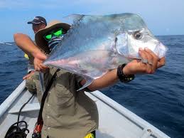 Pekan Fishing Charter And Guide Fishyology Fishing Charters Fish Pekan