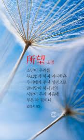 소망이 우리를 부끄럽게 하지 아니함은 우리에게 주신 성령으로 말미암아 하나님의 사랑이 우리 마음에 부은 바 됨이니 Font Style Font Size 18px 로마서 5 5 Font 한몸암송카드 성경 구절 성경 성경 인용구