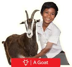 This gift card will be sent to the email used at checkout. A Goat Postal Gift Card Savethechildrennz