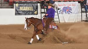 Luca horse rating and status. Luca Fappani Archives Quarter Horse News