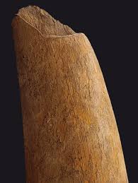 Image result for mammoth bone inlay fountain pen