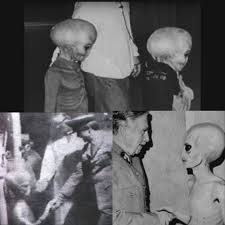 Roswell Ufo Incident | TikTok