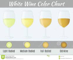 white wine color chart stock vector illustration of object