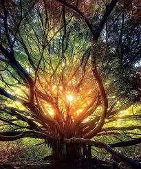 A personification of the natural world, sometimes thought of as the force that controls it. Mother Nature Is Beautiful Beamazed