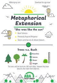 Metaphorical Extension Verbal Behavior B F Skinner Extension Of Verbal Behavior Aba Test Prep Bcba Exam Exam Prep Bcba Verbal Behavior
