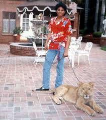 We did not find results for: 1992 Mini Series The Jacksons An American Dream Michael Jackson Foto 35912660 Fanpop
