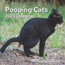 Maybe you would like to learn more about one of these? Pooping Cats Calendar 2021 Funny Cat Lover Wall Calendar Gag Joke Gift Women Men Crazy Lady Birthday White Elephant Party Secret Santa Exchange Stocking Filler Christmas Summers Ellon 9798686564893 Amazon Com Books