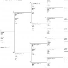 Excel Pedigree Chart Unique 5 Generation Pedigree Chart