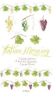 Watercolor Grapes Leaves Vine Borders Diy Elements Etsy Grape Drawing Grapes Vine Border