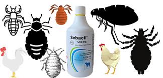 Sebacil Bit Ilaci Kullanimi