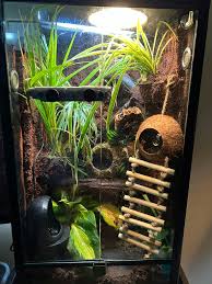 I have a 2-3 year old male crested gecko for rehoming with a few comes with  his 16x16x30 bioactive tank and everything he needs his lights and food  located in gas city