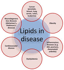 Image result for Lipid