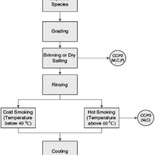 Determination Of Ccps In Flow Diagram Of Smoked Trout With