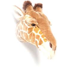 Maybe you would like to learn more about one of these? Bibib Wild And Soft Animal Heads Little Thingz