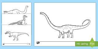 Appeared after the end of the carnian. Dinosaur Colouring Pages Teacher Made