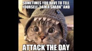 Since doggo memes got 1k views, let's try for that agian! Funny Animal Memes Of The Day 30 Pics Ep14 Animals Animalmemes Memes Memesdaily Memesfunny Lol Funny Funny Dog Memes Dog Memes Clean Cat And Dog Memes