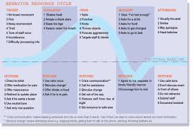 Autism Pdd Nos Aspergers Fact Sheets Introduction To