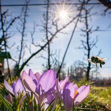 Im laufe eines jahres ändern sich tageslänge (als dauer des lichten tages) und tagbogen der sonne. Warum Das Wetter In Deutschland Im Fruhling So Launisch Ist Wetter