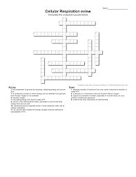 Photosynthesis and cellular respiration crossword puzzle answer key. Cellular Respiration Crossword Student