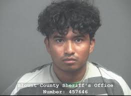 Blount arrest records information available