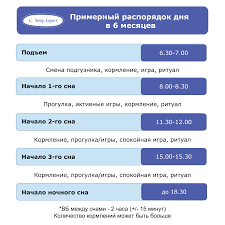 Rezhim Dnya Rebenka Pitanie Razvitie V 6 Mesyacev