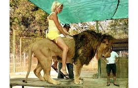 Resultado de imagen para zoologico lujan